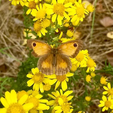 La Croisee Des Chemins 빌라 브레뒨느
